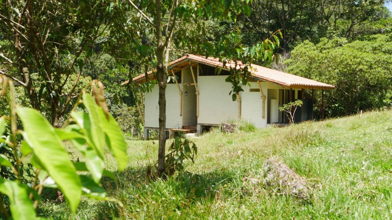 La Perla Negra - Black Pearl Eco Hostel Сан Рафаел Екстериор снимка