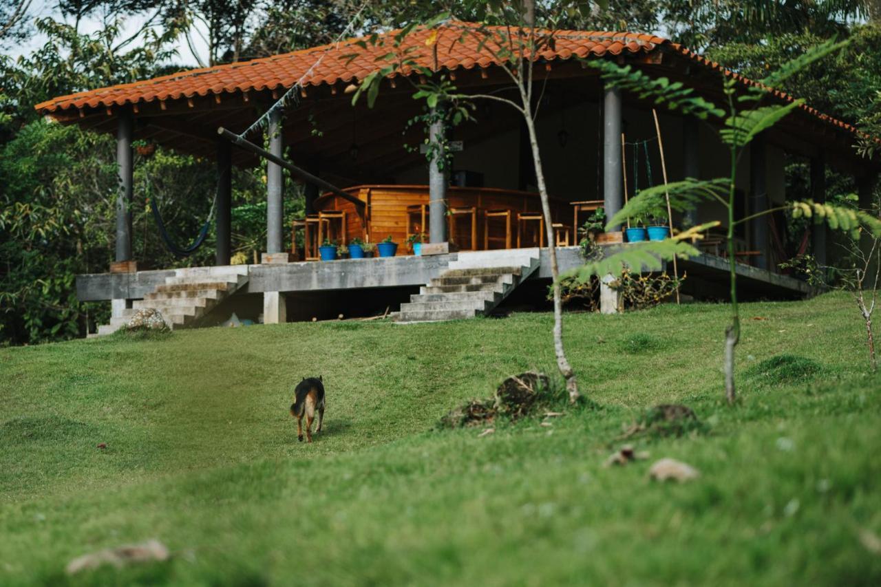 La Perla Negra - Black Pearl Eco Hostel Сан Рафаел Екстериор снимка