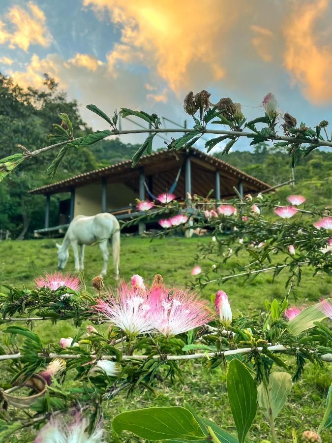 La Perla Negra - Black Pearl Eco Hostel Сан Рафаел Екстериор снимка