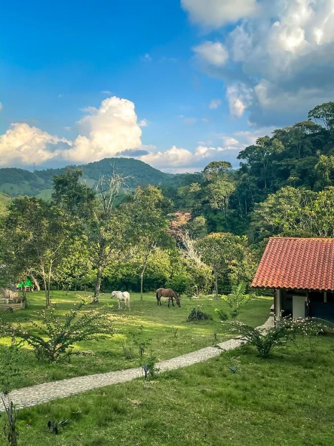 La Perla Negra - Black Pearl Eco Hostel Сан Рафаел Екстериор снимка
