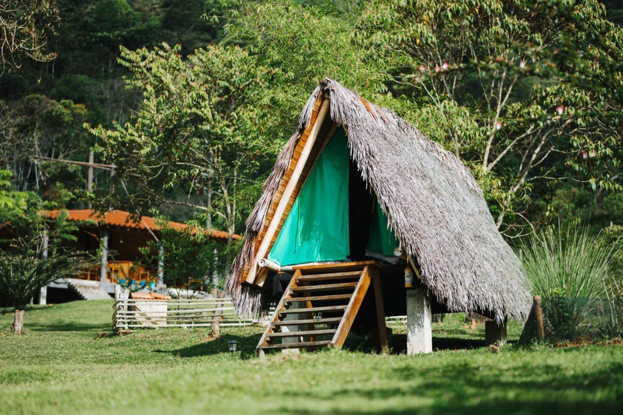 La Perla Negra - Black Pearl Eco Hostel Сан Рафаел Екстериор снимка
