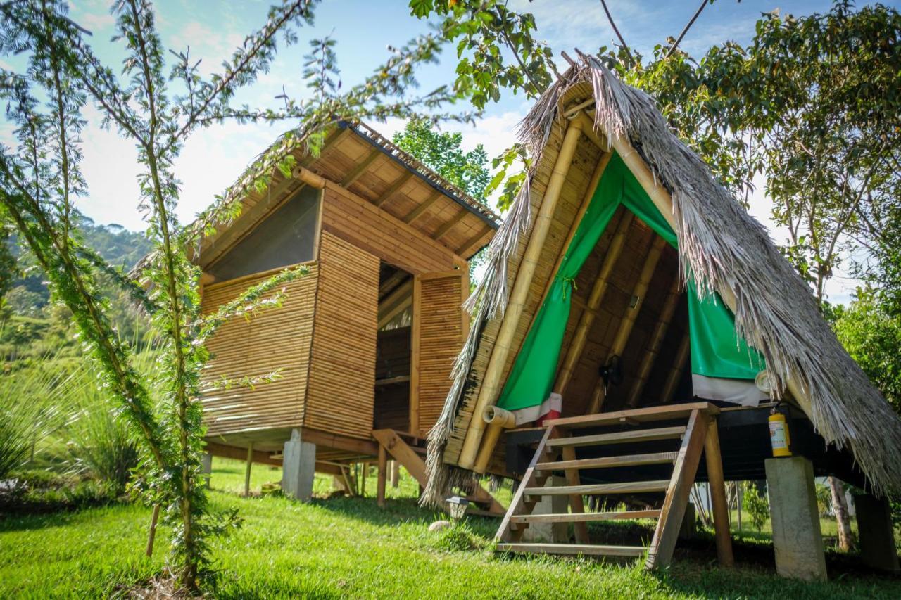 La Perla Negra - Black Pearl Eco Hostel Сан Рафаел Екстериор снимка
