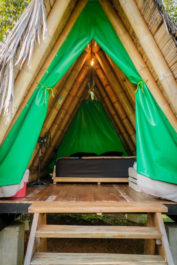 La Perla Negra - Black Pearl Eco Hostel Сан Рафаел Екстериор снимка