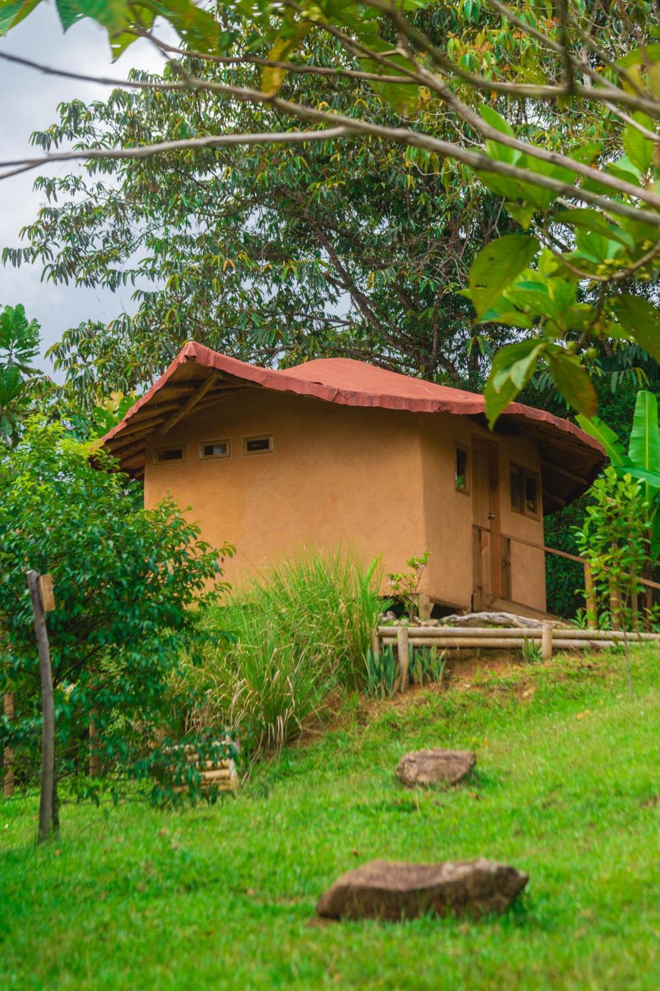 La Perla Negra - Black Pearl Eco Hostel Сан Рафаел Екстериор снимка